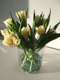 Close-up of white flowers