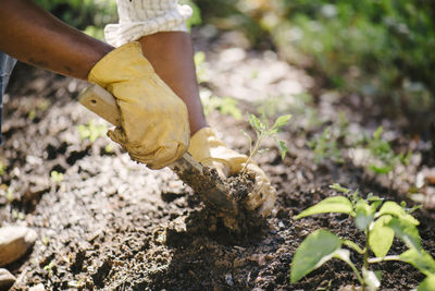 Cropped image of woman planting sapling in soil at garden