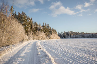 A beautiful, calm winter landscape in the rural area of latvia, northern europe. 