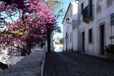 View of trees in city