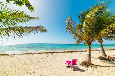 Coconut palm trees on beach against sky