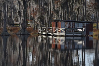 Reflection of trees in lake