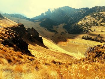 Scenic view of landscape against sky