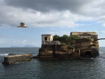 Seagull flying by gaiola island in sea