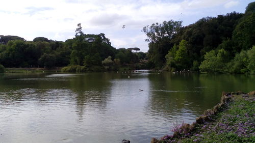 Scenic view of lake by trees against sky