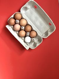 High angle view of eggs in container