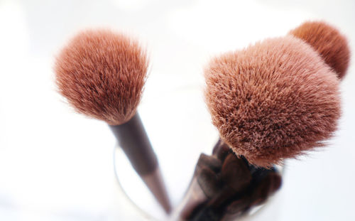 Close-up of make-up brushes against white background