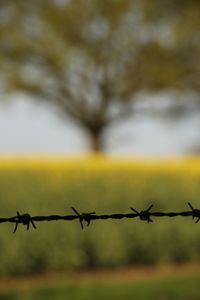 Close-up of chainlink fence