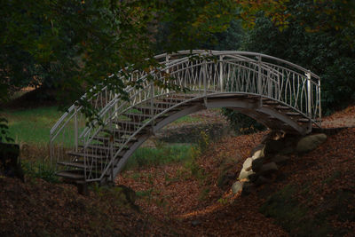 Bridge in forest