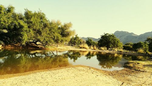 Scenic view of river by trees against clear sky