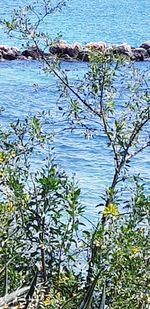 High angle view of a lake