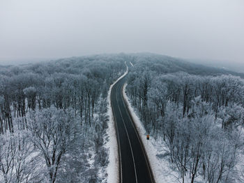 Aerial view over snow forest