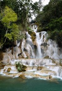 View of waterfall in forest