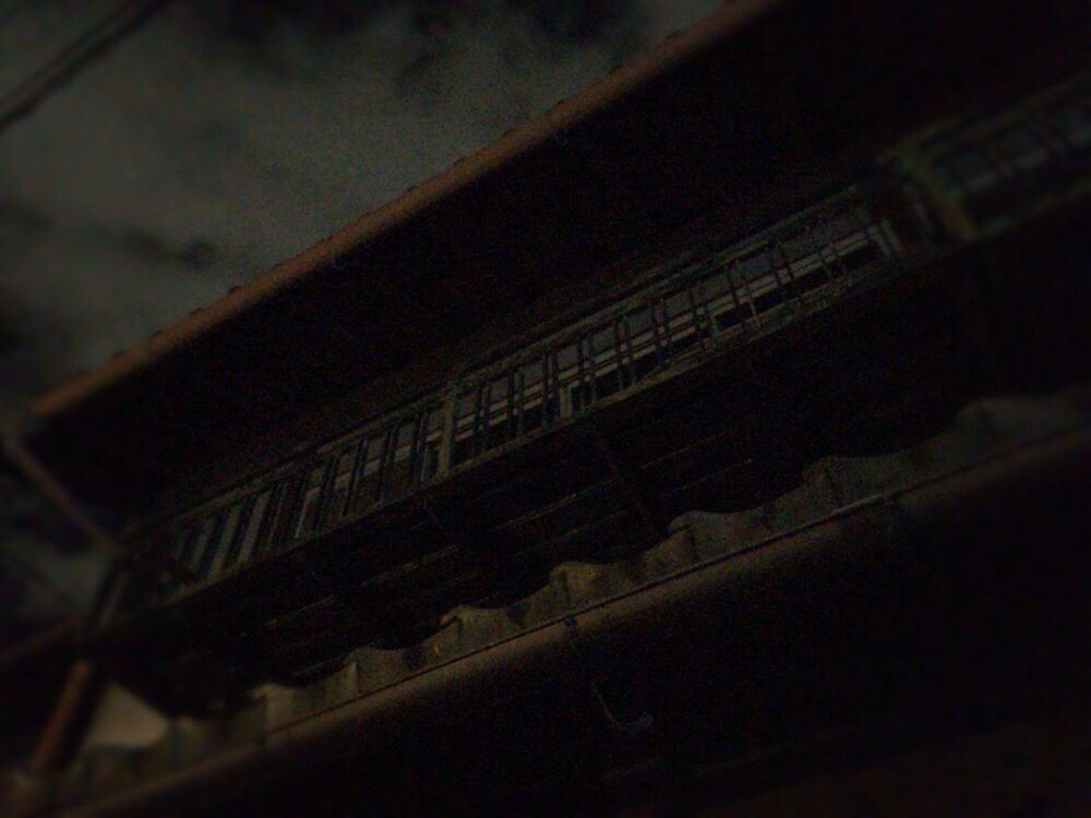 Kyoto Noir Nuitt