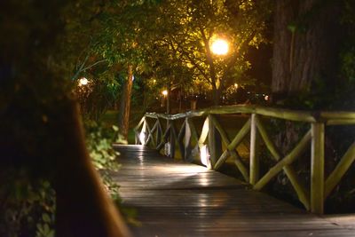 Illuminated footpath amidst trees at night