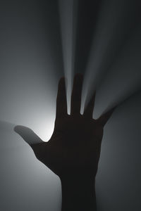 Close-up of silhouette hand against illuminated background