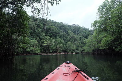 Scenic view of lake in forest against sky