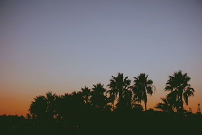 Silhouette trees against clear sky during sunset