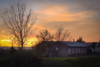 Silhouette bare trees and buildings against sky during sunset