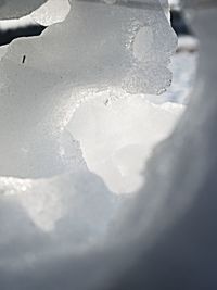 Close-up of frozen water