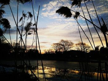 Silhouette palm trees by lake against sky during sunset