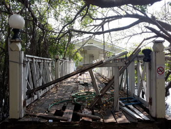 Trees and building seen through fence