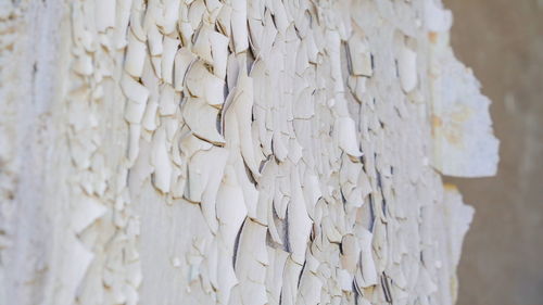 Close-up of ice cream