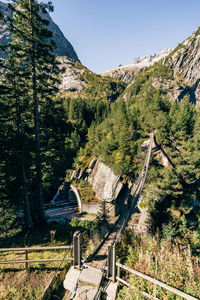 Scenic view of forest against clear sky