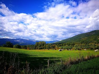 Scenic view of agricultural field against cloudy sky