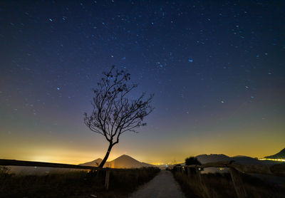 Silhouette bare trees on field against sky at night