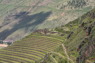 High angle view of agricultural field