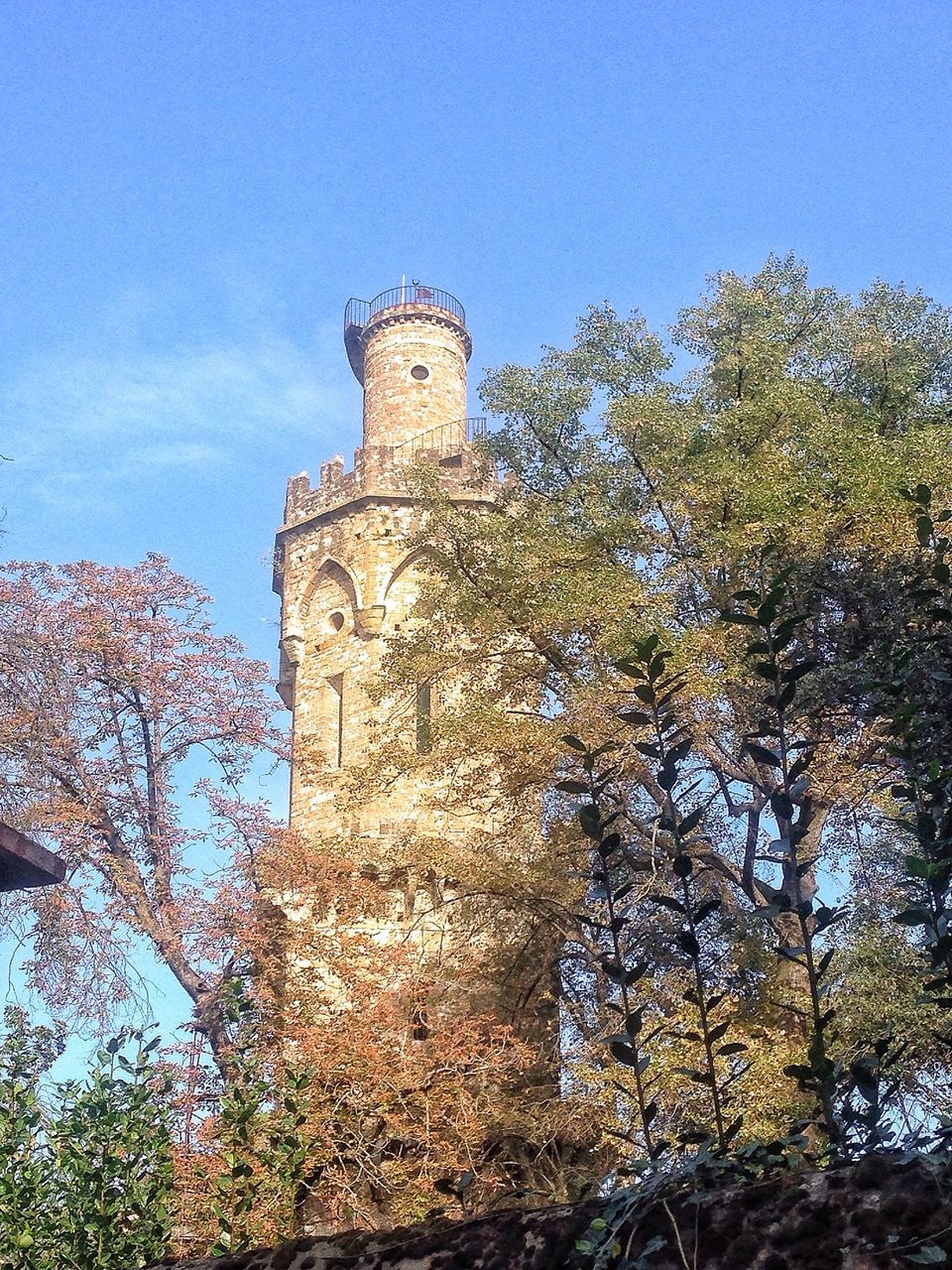 low angle view, tree, architecture, built structure, building exterior, clear sky, blue, tower, history, sky, tall - high, day, growth, branch, outdoors, no people, famous place, nature, sunlight, travel destinations