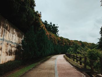 Empty road along trees