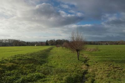 Scenic view of grassy field against cloudy sky