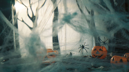 Spider web for halloween holidays