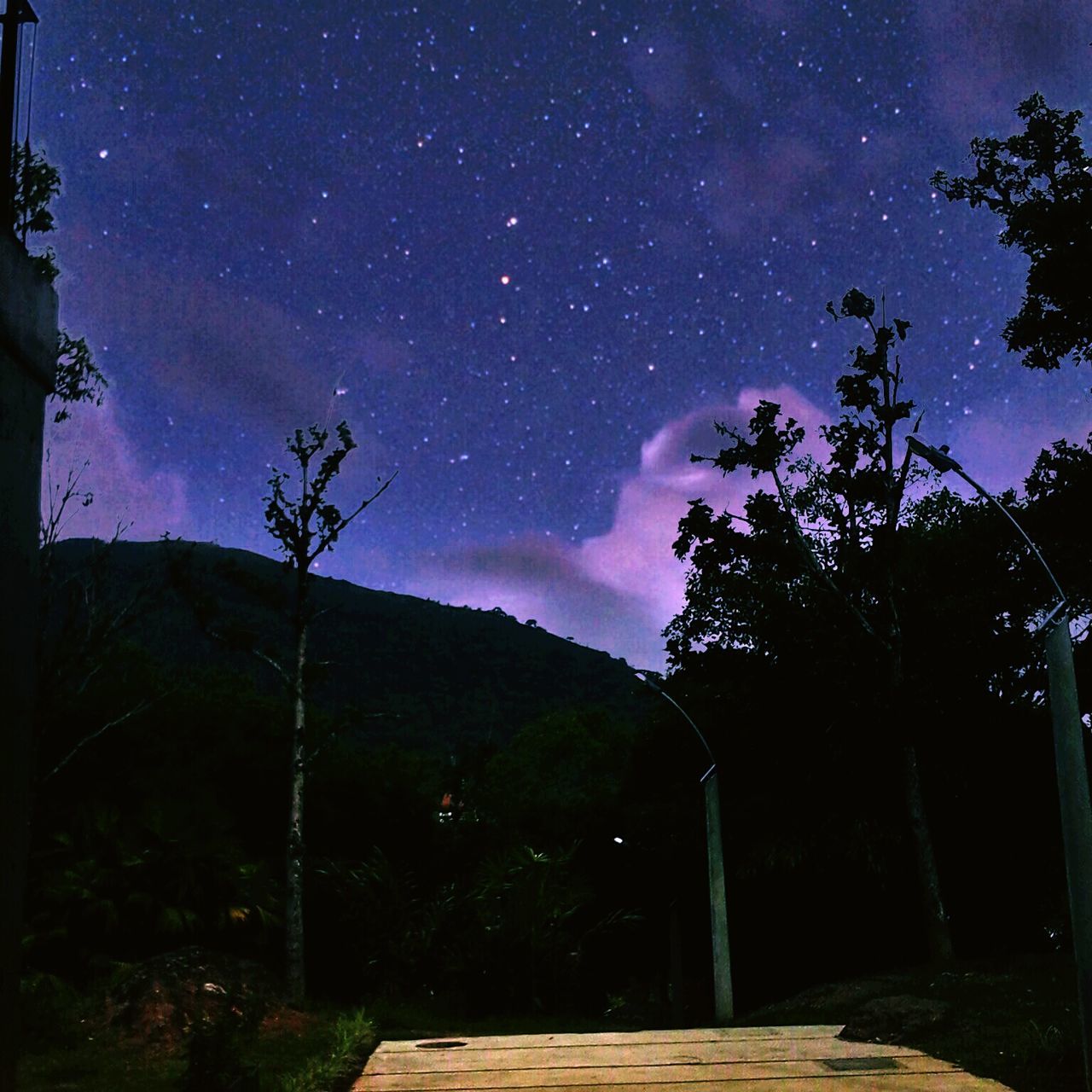 night, star - space, tree, star field, sky, tranquil scene, tranquility, beauty in nature, scenics, astronomy, nature, galaxy, infinity, star, landscape, idyllic, dark, illuminated, low angle view, silhouette