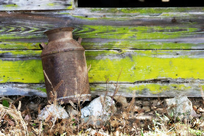 Close-up of wood against trees