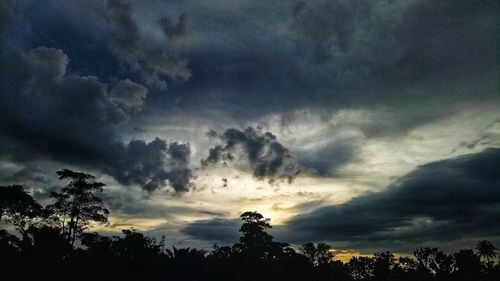Low angle view of trees against dramatic sky