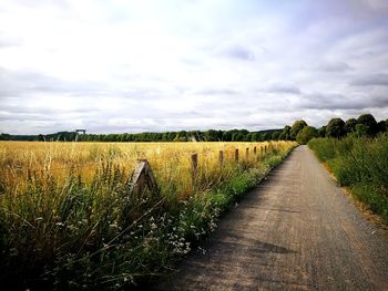 Scenic view of field against sky