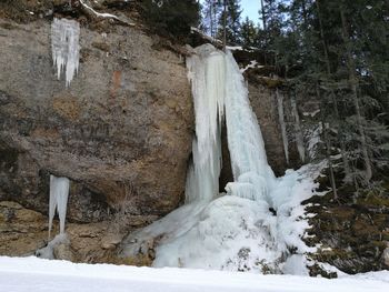 Snow on tree trunk