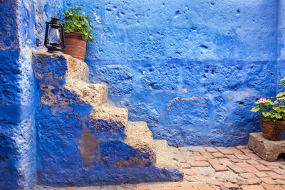 Lantern and potted plant on steps at santa catalina monastery