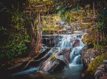 Scenic view of waterfall in forest