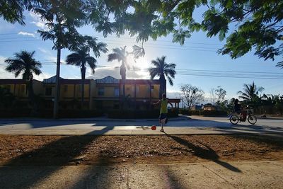 Road by palm trees and buildings against sky