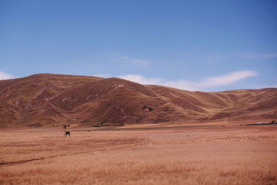 Scenic view of arid landscape against sky