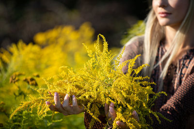 Close-up of woman standing amidst yellow flowering plants