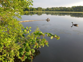 Scenic view of lake