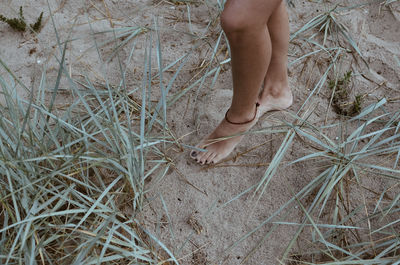 Low section of woman walking at beach