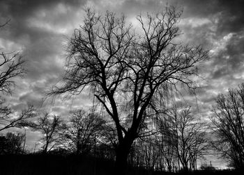 Low angle view of bare trees against cloudy sky
