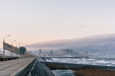 Birds flying over river in city against sky