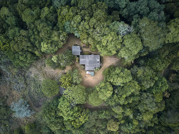 Cabin in the woods from above